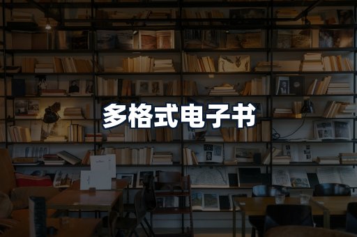 多格式电子书